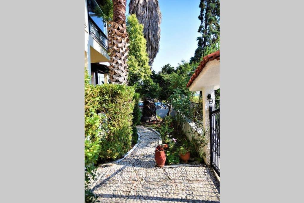 Calma Luxury Apartments #3 Sozopoli In Halkidiki Exterior photo